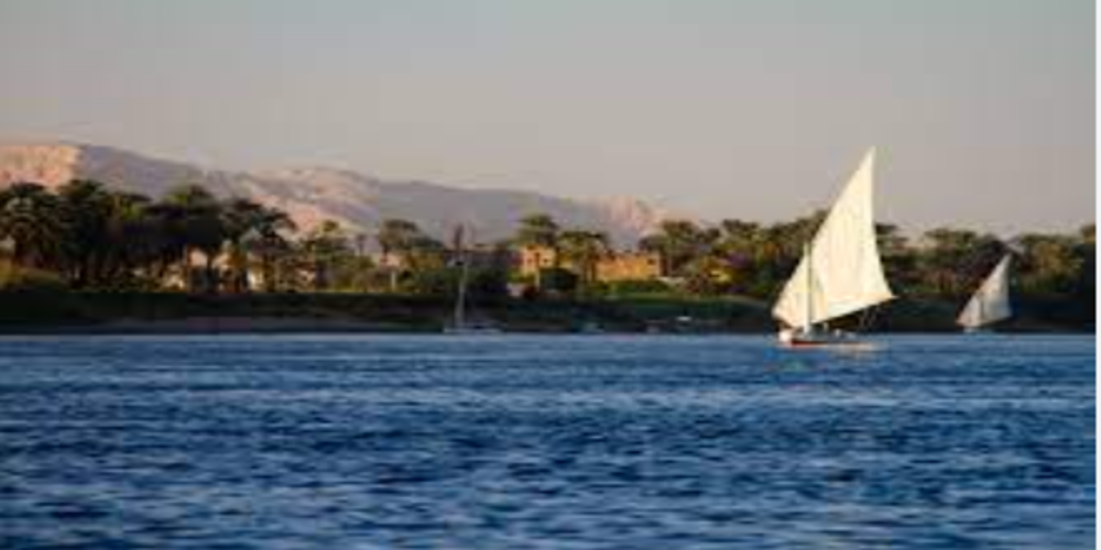 felucca(1)