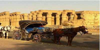 luxorcarraiage(1)